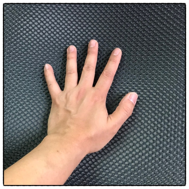  바른자세 자세교정 기능성 방석 라이핑 엉탄방석 리뷰