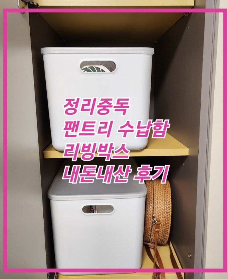 정리중독 수납함 후기, 내돈내산, 팬트리 수납함, 리빙박스