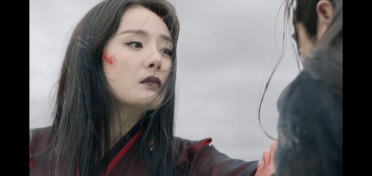 부요황후(扶摇) ㉕ 부요황후(扶摇) ㉕