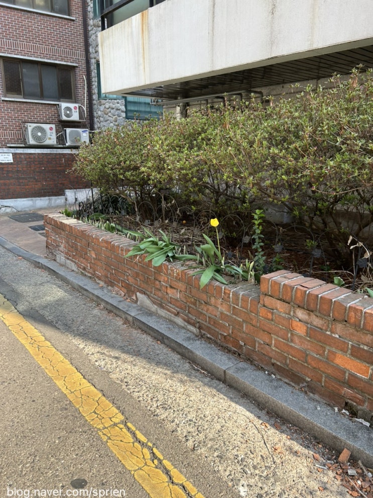  동네 산책