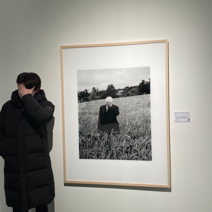  올해 최대 관심사 노블쉐이프 진짜 자료가 너무없어서 직접 내돈내산해봄