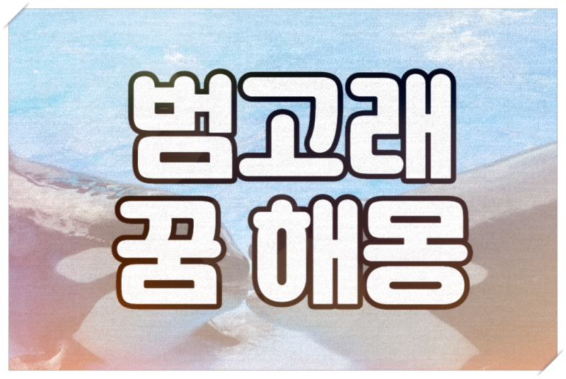 범고래 꿈 범고래 나오는 꿈 해몽 및 풀이