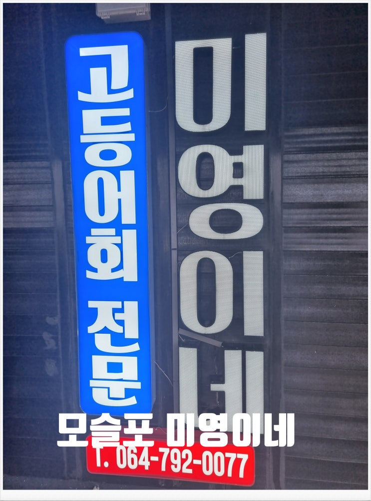  모슬포 미영이네 고등어회 하나도 안 비려요!