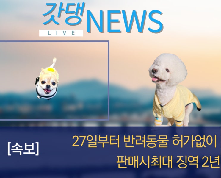 반려동물 허가없이 판매시 최대 2년 징역