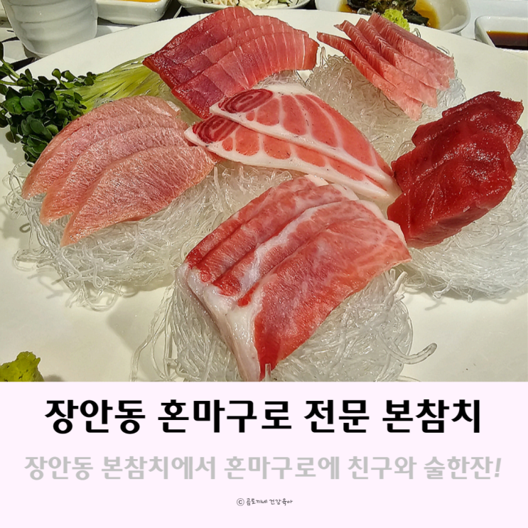 장안동 참치 회식장소로 안성맞춤인 본참치에서 혼마구로에 술한잔 장안동 참치 회식장소로 안성맞춤인 본참치에서 혼마구로에 술한잔