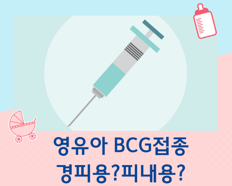  영유아 BCG 접종 피내용 경피용 차이점/결핵예방접종