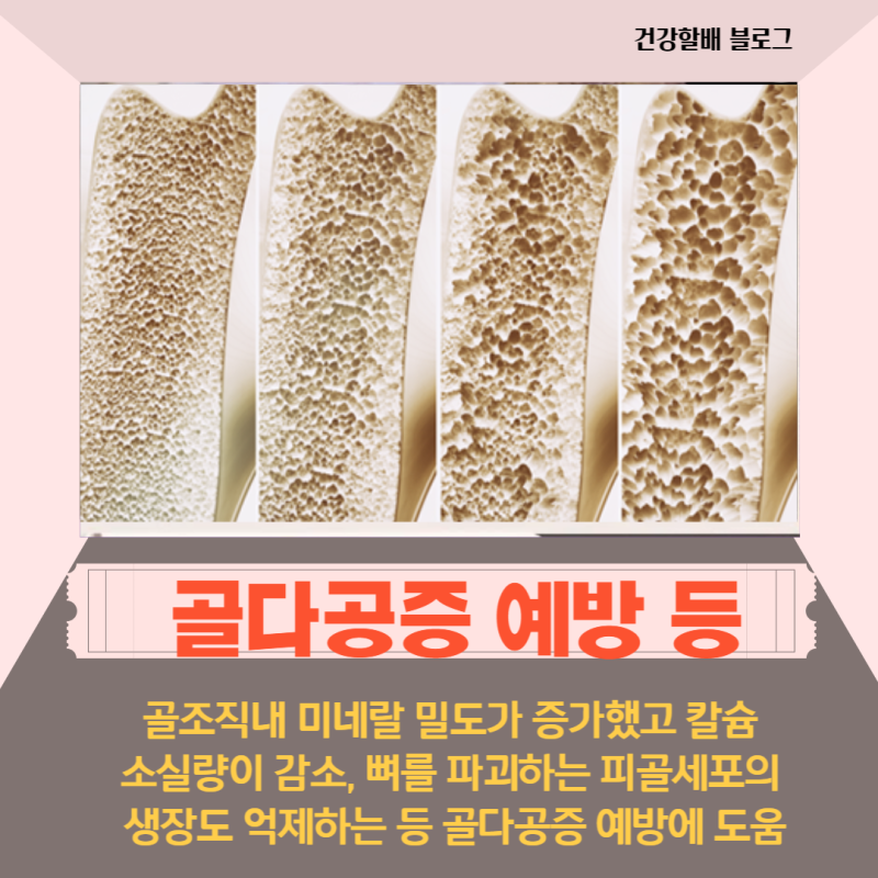 우슬 뿌리 효능 우슬 등 복합물 부작용 : 네이버 블로그