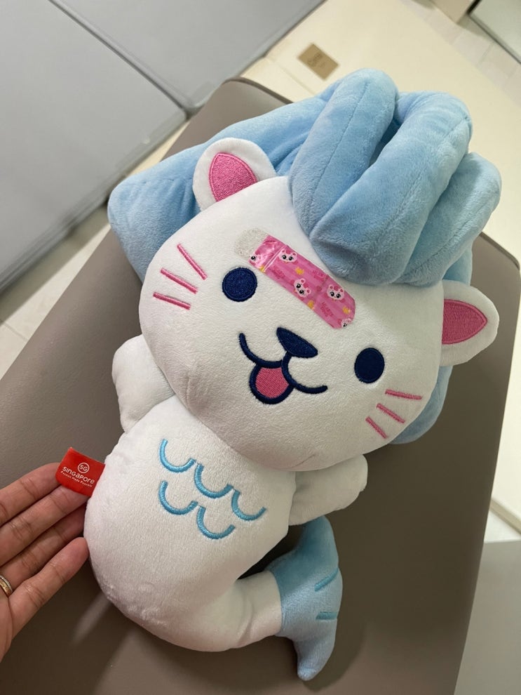  코로나 이 후 아이들과 에어프레미아 타고 싱가폴로 출국!