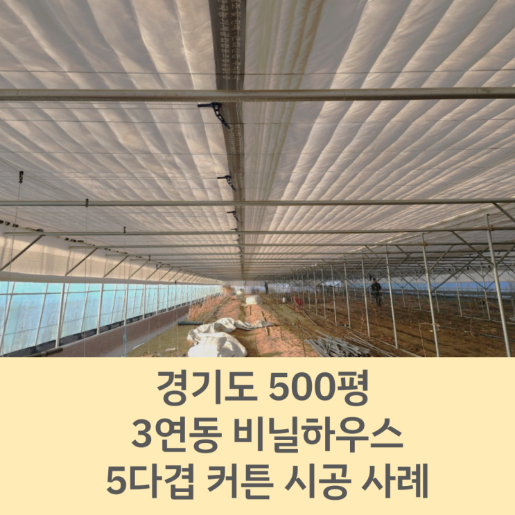  [화성시 농자재] 경기도 500평 비닐하우스 3연동 5다겹 커튼 시공 사례 / 수원시 비닐하우스 / 화성 비닐하우스 / 수원 비닐하우스 / 경기도 비닐하우스 시공 / 스마트팜시공