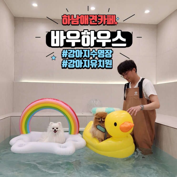  강아지유치원 강아지수영장 있는 깔끔한 하남애견카페 미사 바우하우스