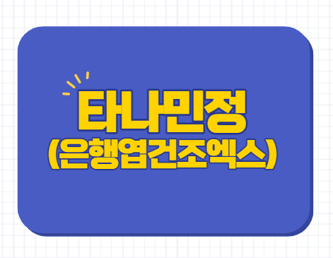  타나민정 40mg 80mg 120mg 효능 부작용