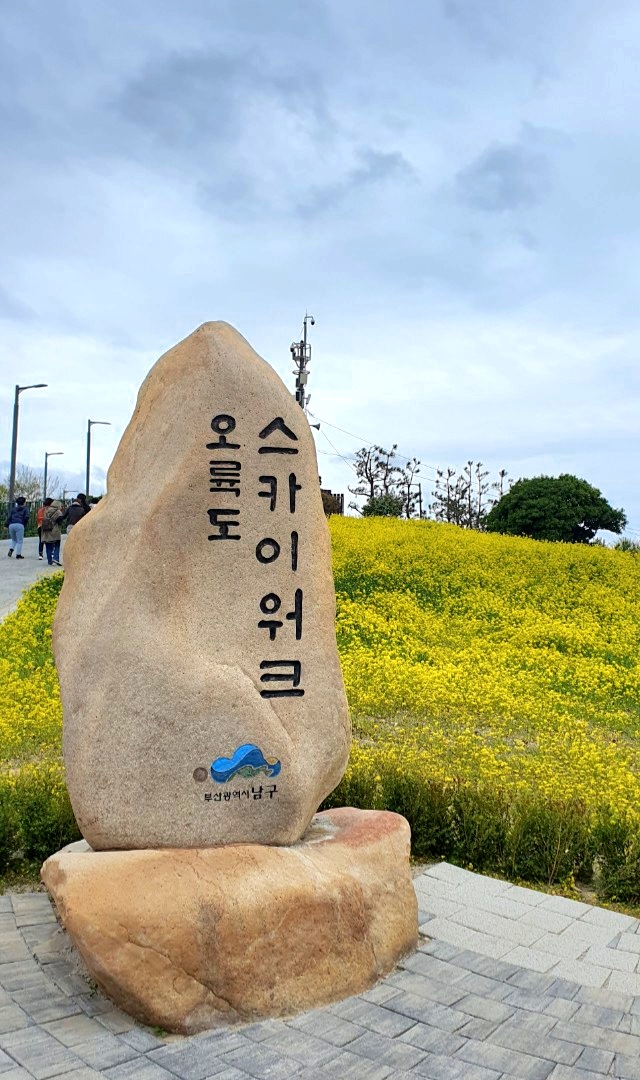  오륙도 스카이워크 나들이 등대섬 송곳섬 솔섬 수리섬 섬 구경하기 섬여행