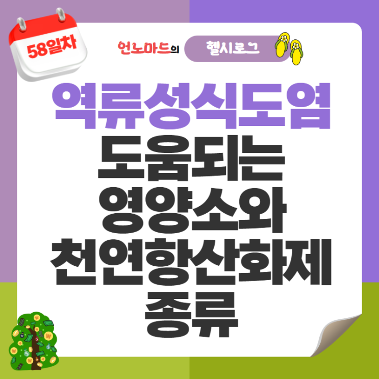  58일차, 역류성식도염에 도움되는 영양소와 천연항산화제 종류