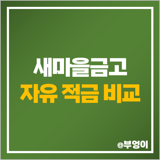 새마을금고 자유 적금 금리 비교 (특판 이자 높은 곳) 새마을금고 자유 적금 금리 비교 (특판 이자 높은 곳)