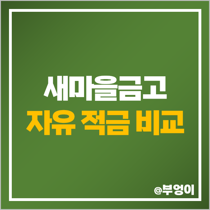 새마을금고 자유 적금 금리 비교 (특판 이자 높은 곳)