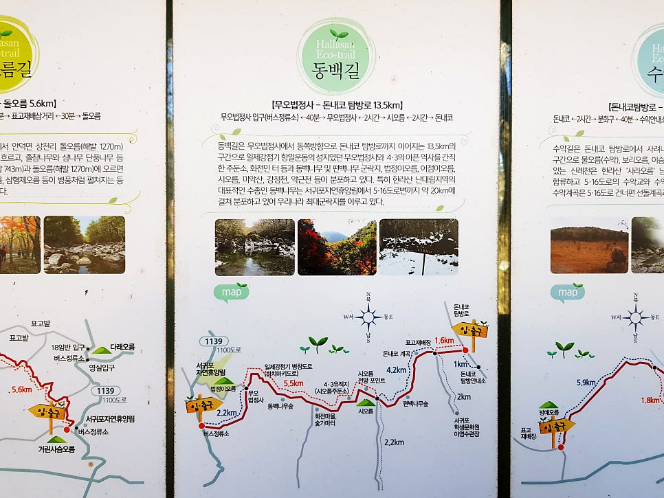 어점이오름 사진 2
