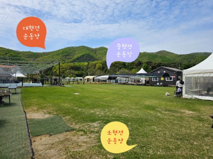  [수원근교]강아지운동장인데 맛집으로 더 소문난, 노리개운동장 찐 후기