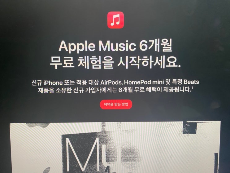 애플뮤직 6개월 무료 구독 방법 총정리