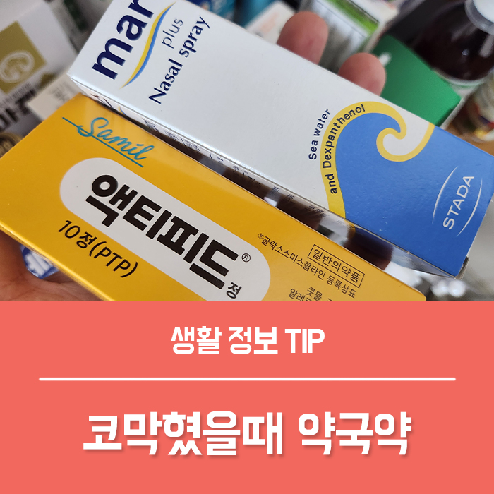  코막혔을때 약국 코막힘 약 액티피드 마플러스 , 막힌코 뚫는법 액티피드정 엑티피드 효과 부작용