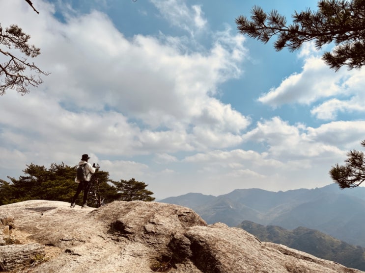  국내여행 충북 단양 도락산 등산코스와 볼거리 많은 돌산 도락산을 알려드려요~!!
