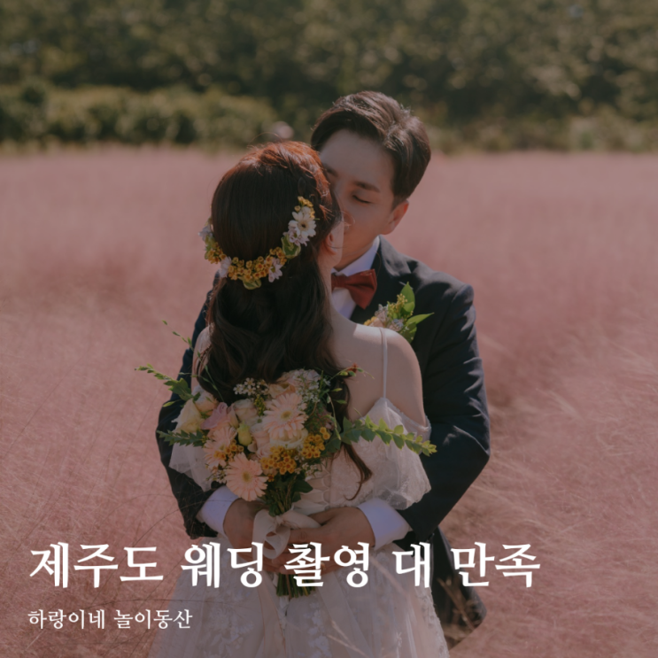 제주 웨딩 스냅 우기의온도 10월초 가을 촬영 후기