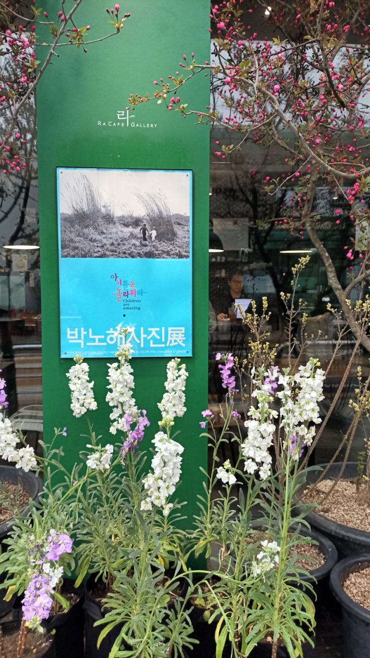 「아이들은 놀라워라」 : 박노해 시인의 사진전이 열리는 곳, 라 카페
