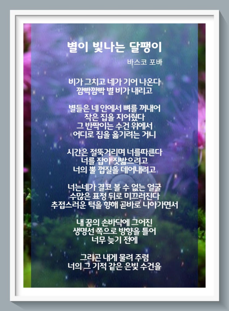  오늘도 꿈을 꾸는 별이 빛나는 달팽이