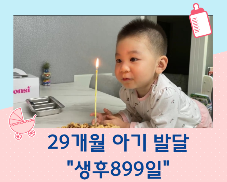 29개월 아기 발달/생후 899일