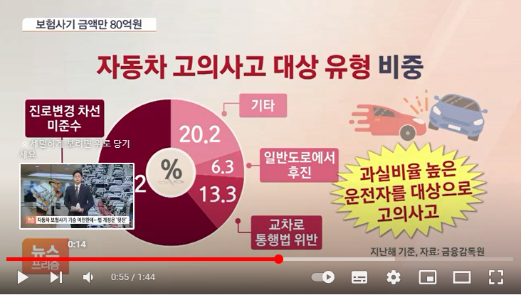 자동차 보험사기 기승 여전한데…제재 강화 법 개정 '하세월'[SBS Biz]