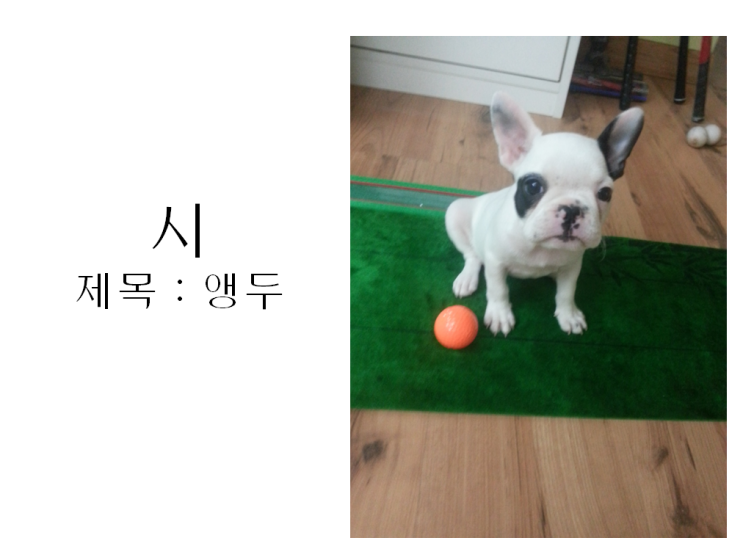  앵두를 위한 시