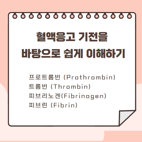 프로트롬빈(prothrombin) 트롬빈(thrombin)과 피브리노겐(fibrinogen) 피브린(fibrin) 혈액응고 기전을 바탕으로 이해