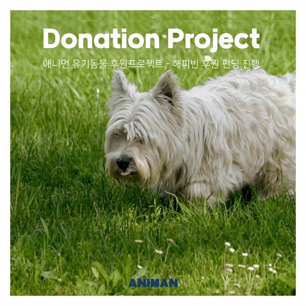 [애니먼] 유기동물 후원프로젝트 / 해피빈 펀딩 모금에 참여해보세요