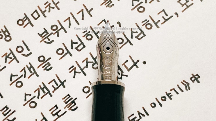  우호적인 분위기 (펠리칸 M405 슈트레제만 EF닙 만년필로 필사하기)