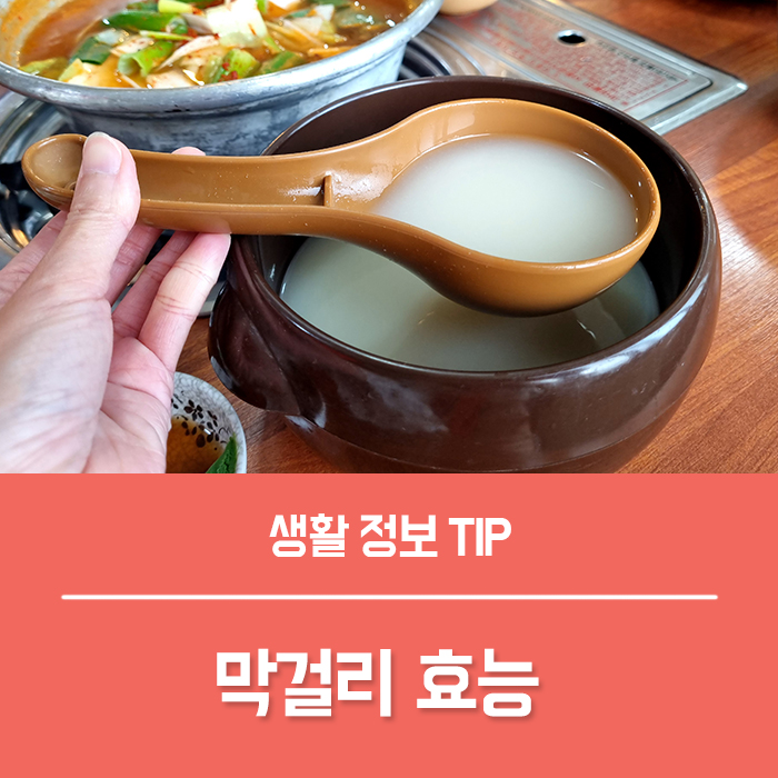  막걸리 효능 TOP 4, 막걸리 도수 부작용 오늘 막걸리 한잔 어때요?