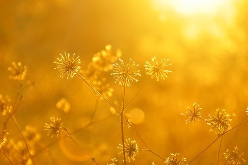  페니 쏜튼/주간 별자리 운세/2023년 5월 8일~5월 14일/쌍둥이·게·사자·처녀자리
