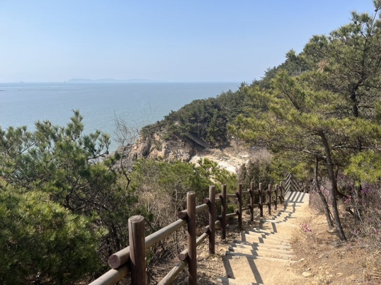  인천 소무의도 여행 2편! 무의바다누리길, 몽여해변 걷고 뗌리 국수 먹어보기