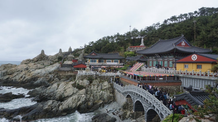 부모님과 함께 한 부산여행_부산국립수산과학관, 해동용궁사