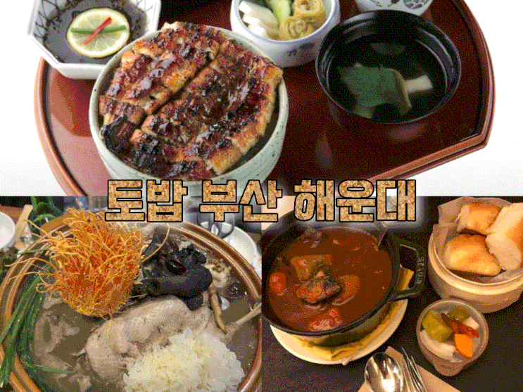  토밥 부산 해운대 장어덮밥 토요일은 밥이 좋아 스튜 토밥즈 오리백숙 70회