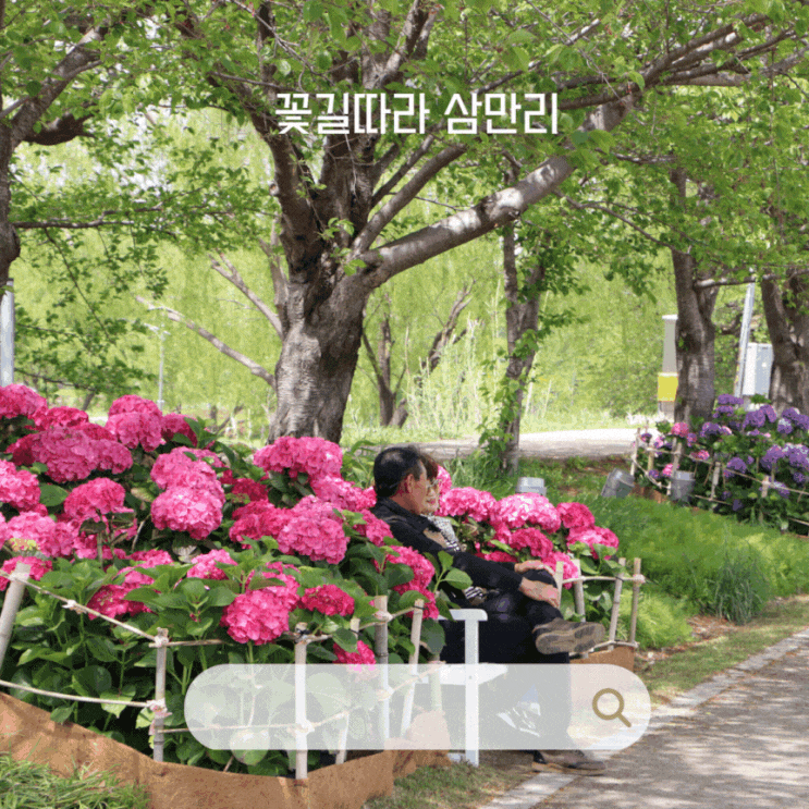  전라도 순천 풍덕경관정원 튤립 동천변 마실길 꽃길 산책