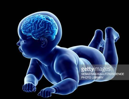 영유아 두뇌발달을 위한 방법은 어떤것이 있을까요?