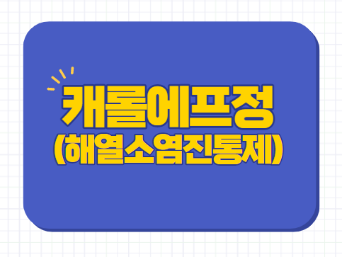  일동제약 캐롤에프정 효능 복용법 주의사항 부작용 등