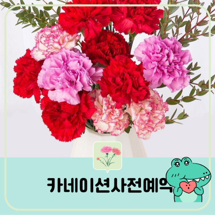  가정의 달 5월 카네이션/  관엽 12종 GS25에서 사전예약 방법 편의점 바구니 화분