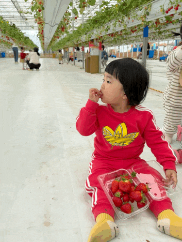  울트라팜, 곤지암 체험농장 하우스키즈카페 / 너무나 신났던 둘째랑 데이트