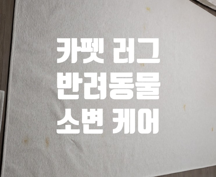 [인천/김포] 카페트 러그 세탁 소변 얼룩 냄새 청소