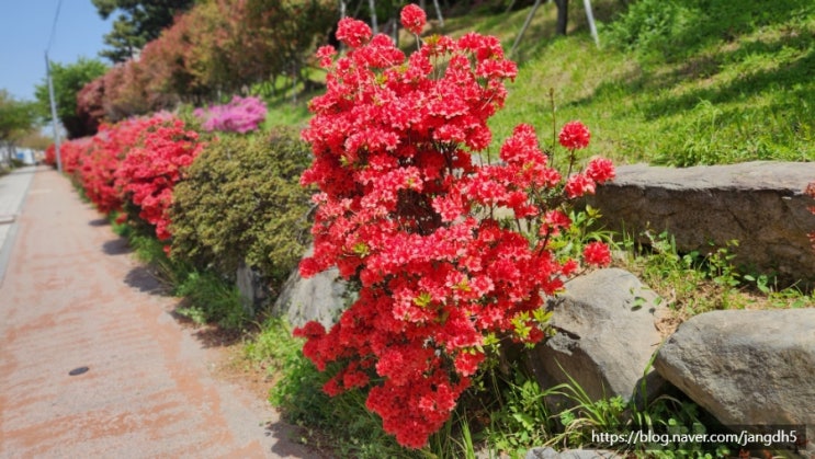  송정역에서 해변열차타기---송정해수욕장, 송정항구, 해변열차 요금, 해운대 미포, 관광열차