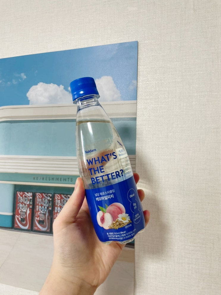  내돈내산리뷰/ 이마트24 2+1 행사 - 널담 제로스파클링 캐모마일피치 블랙티레몬 제로칼로리 음료수