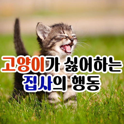  고양이가 싫어하는 집사의 행동, 알로그루밍