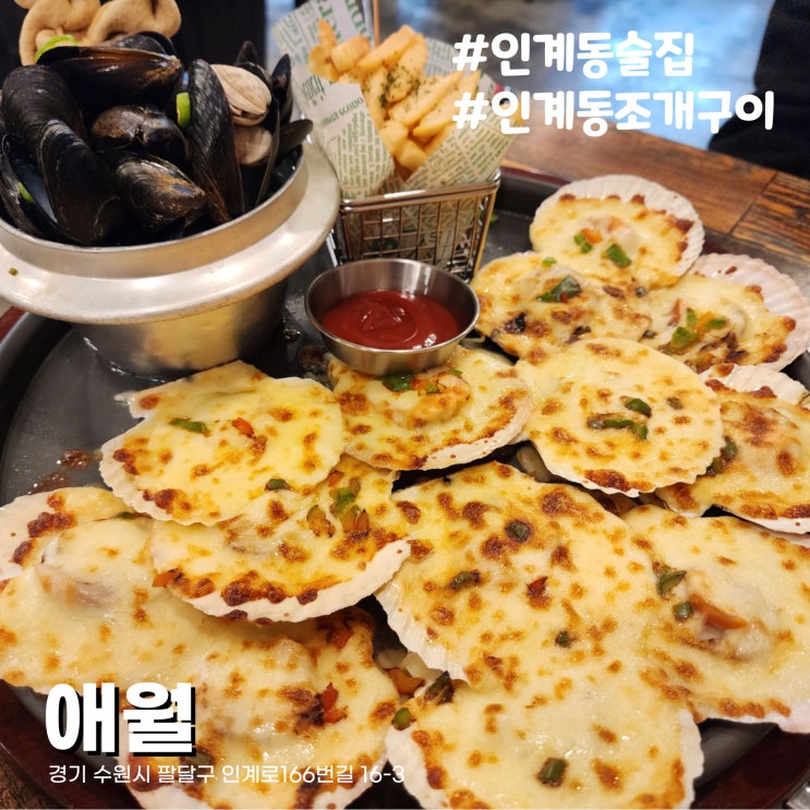  [수원/인계동술집] 수원시청역 나혜석거리 조개구이, 조개찜 맛집 애월 재방문후기
