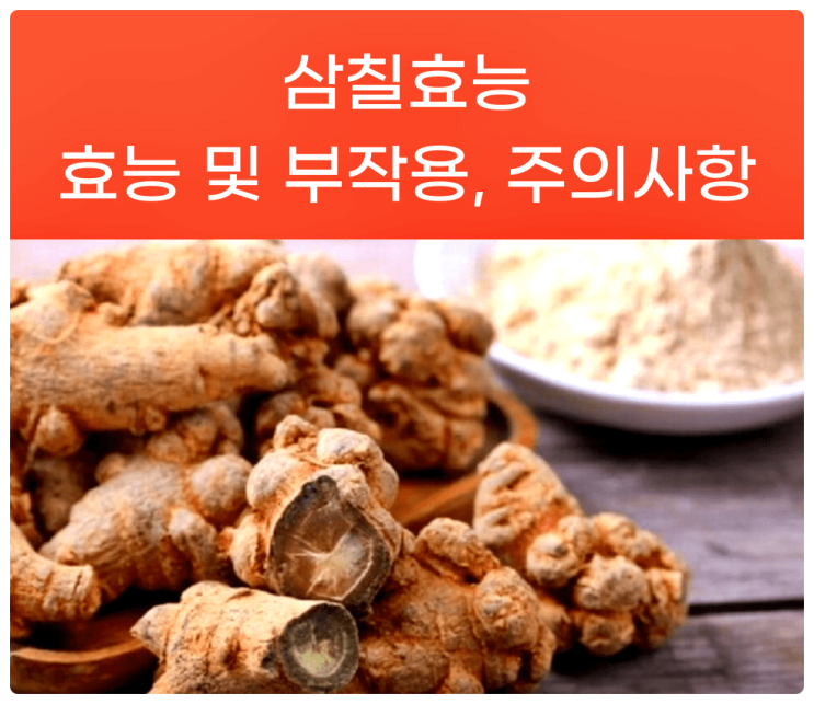 삼칠 효능 부작용 주의사항