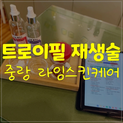 트로이필 관리는 중화동피부관리ㅣ라임스킨케어